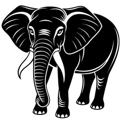 elephant isolated on white