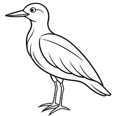 heron on white background