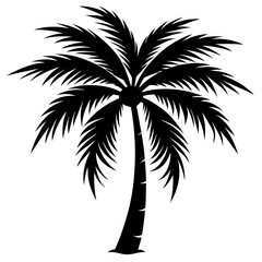 palm tree silhouette