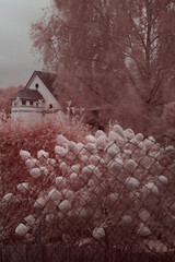 IR-Photography, Infrared photography on an autumn midday in Germany