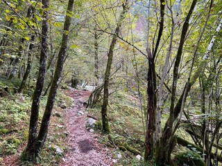 Hiking trails along the Lepenca stream in the area of ​​Šunik's water grove (Triglav National Park, Slovenia) - Wanderwege entlang des Baches Lepenca im Bereich des Wasserhains von Šunik (Slowenien)