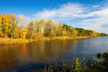 A serene river landscape showcasing vibrant autumn colors. Trees with golden, red, and green foliage line the riverbank, their reflections shimmering in the calm water under a blue sky