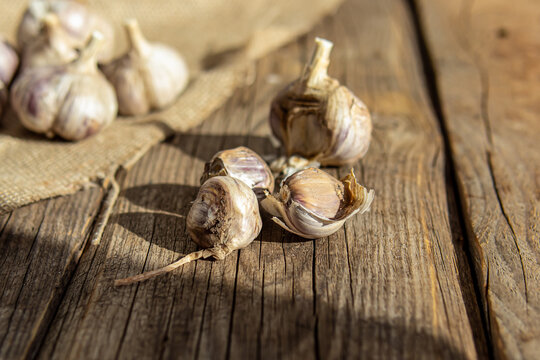 Heads of fresh garlic on wooden background. Garlic cloves