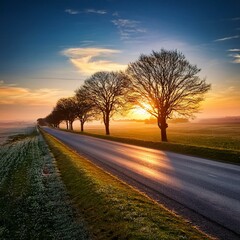 Rural Road Leading to the Horizon Amidst Winter Trees at Sunset