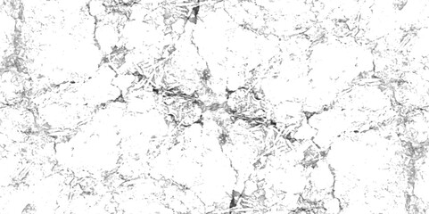 Abstract earth cracks texture on isolate vector background. Black and white old dirty texture. white and black cracks Transparent texture with vector marble pattern background.