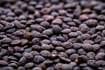 Side view of le puy green lentils stack