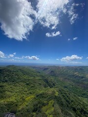 landscape in the summer