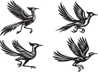 roadrunner vector illustration silhouette image icon