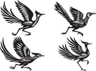 roadrunner vector illustration silhouette image icon