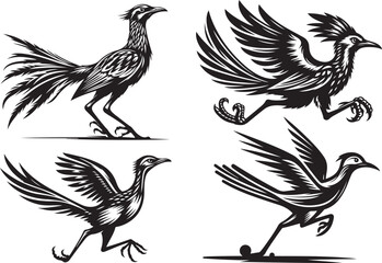 roadrunner vector illustration silhouette image icon