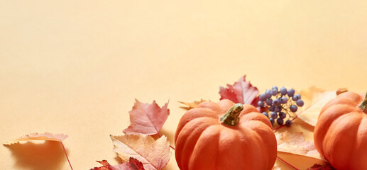 Colorful autumn leaves and pumpkins on an orange background. Nature mockup background