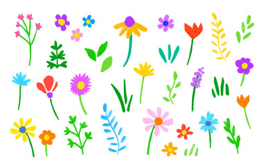 Spring flowers - Beautiful flower set, leaves, floral, hand drawn elements.