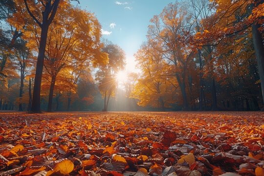 Vibrant autumn park scene  a sunny october landscape bathed in bright natural light