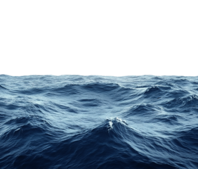 Sea isolated on transparent background