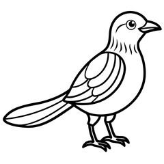 vector of a bird