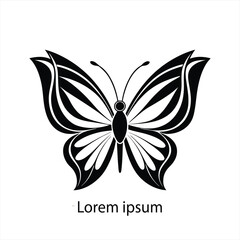 Exploring the World of Butterflies