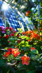 Fototapeta premium Vibrant orange flowers bloom in the warm sunlight of a greenhouse.