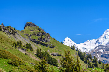 Obraz premium The Swiss Alps at Murren, Switzerland. Jungfrau Region. The valley of Lauterbrunnen from Interlaken.