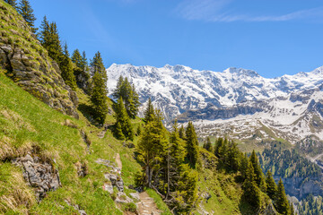 The Swiss Alps at Murren, Switzerland. Jungfrau Region. The valley of Lauterbrunnen from Interlaken.
