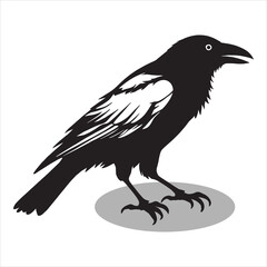 Crow silhouettes and icons. Black flat color simple elegant white background Crow animal vector and illustration.