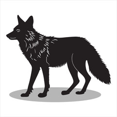 Coyote silhouettes and icons. Black flat color simple elegant white background Coyote animal vector and illustration.