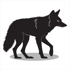 Coyote silhouettes and icons. Black flat color simple elegant white background Coyote animal vector and illustration.
