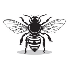 Honey bee silhouettes and icons. Black flat color simple elegant white background Honey bee animal vector and illustration.