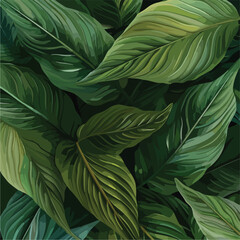 leaves of Spathiphyllum cannifolium, abstract green texture