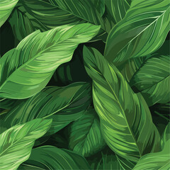 leaves of Spathiphyllum cannifolium, abstract green texture