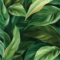 leaves of Spathiphyllum cannifolium, abstract green texture