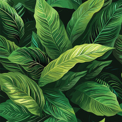 leaves of Spathiphyllum cannifolium, abstract green texture