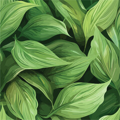 leaves of Spathiphyllum cannifolium, abstract green texture