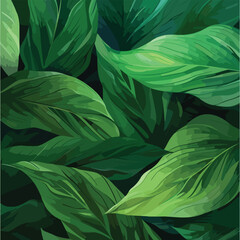 leaves of Spathiphyllum cannifolium, abstract green texture