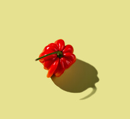 Red bell peper with hard shadow, isolated