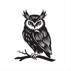 owl on white background,owl, bird, cartoon, animal, illustration, vector, cute, character, nature, art, design, drawing, wing, halloween, beak, feather, eyes, branch, fun, funny, wise, wild, icon,