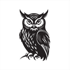 owl on white background,owl, bird, cartoon, animal, illustration, vector, cute, character, nature, art, design, drawing, wing, halloween, beak, feather, eyes, branch, fun, funny, wise, wild, icon,