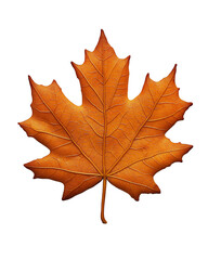 Obraz premium a maple leaf bade by cookie isolated on transparent background