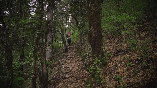 A Man waking in the Jungle of Khaptad National Park with flag of Nepal, travelling in Farwest Nepal