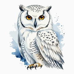 Hand drawn watercolor painting of white polar owl isolated on white background. Arctic animal illustration drawing by hand.