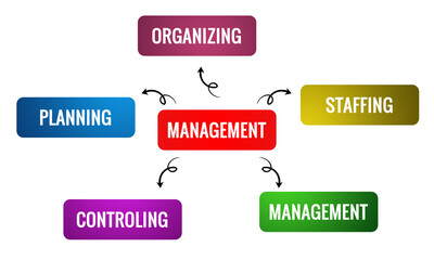 The Role of Diagrams in Management Functions, A Guide to Business Strategy Illustration