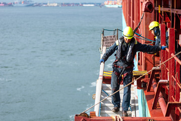 A deckhand prepares the pilot ladder as the ship readies for port entry. Secured in a safety harness, he carefully ensures the setup is ready, focusing on the task in a high-risk environment. 