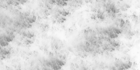 Abstract White powder explosion on black and white background. Black and white texture of an acrylic marble texture. Texture of concrete floor watercolor marble background