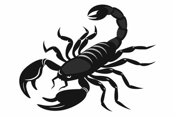 Scorpion Silhouette Vector illustration on white background.