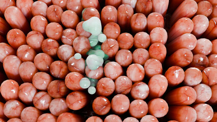 Food Digestion in Small Intestine Wall, Nutrient Absorption, carbohydrates and aminoacids and lipids in capillaries microvilli, epithelial cells, lymphatic system and metabolism, 3d render