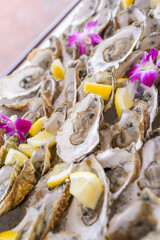 Fresh oysters on the half shell with lemon wedges and orchids on Cape Cod, Massachusetts