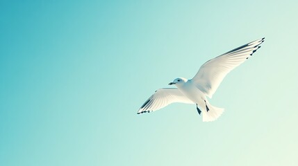 Obraz premium A serene image of a seagull gracefully soaring in the clear blue sky, embodying freedom and tranquility in nature.