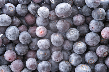 Macro of blueberries, not washed or treated, as they come.