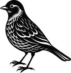 bird,
bird silhouette,
birds flying,
bird illustration,
animal illustration,
sparrow,
animal set,
animal silhouette,
animal,
wild,
zoo,
wildlife,
bird feather,
wings,
feather illustration,
collection,