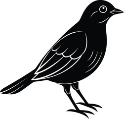 bird,
bird silhouette,
birds flying,
bird illustration,
animal illustration,
sparrow,
animal set,
animal silhouette,
animal,
wild,
zoo,
wildlife,
bird feather,
wings,
feather illustration,
collection,