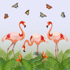 Obraz premium Illustration with butterflies and flamingos.Pink flamingos, butterflies and palm leaves in color vector illustration.